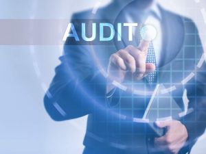 Audit service formation