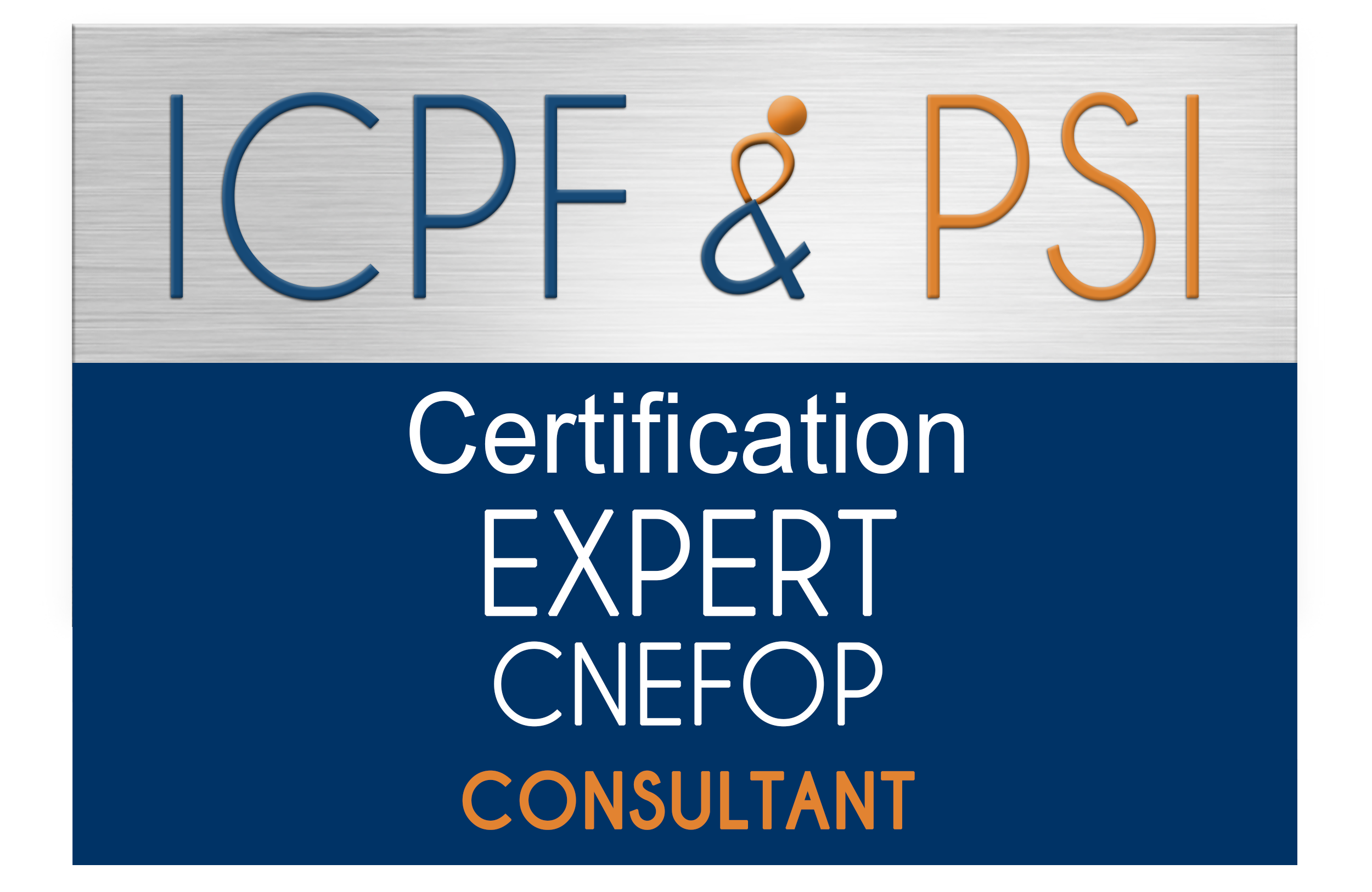 ICPF&PSI consult petit.png